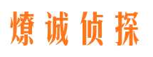 山阳市婚外情调查